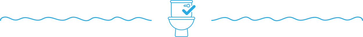IWSH_Plumbing-Upgrades-Icon_1250_DIV